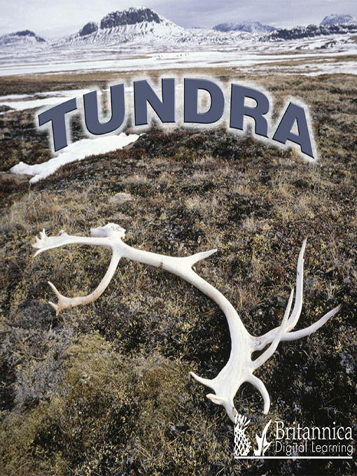 Tundra [electronic resource].